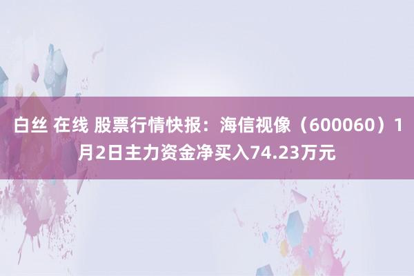 白丝 在线 股票行情快报：海信视像（600060）1月2日主力资金净买入74.23万元