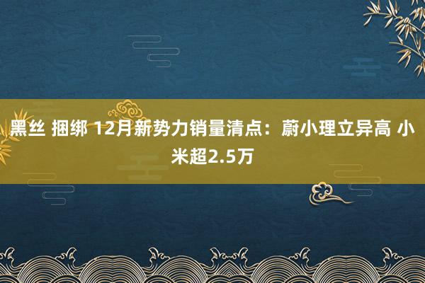 黑丝 捆绑 12月新势力销量清点：蔚小理立异高 小米超2.5万