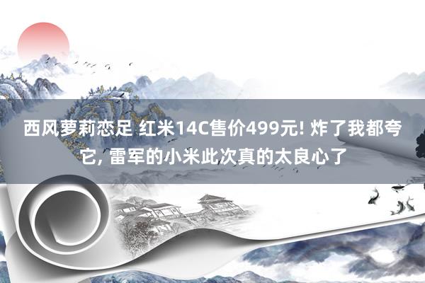 西风萝莉恋足 红米14C售价499元! 炸了我都夸它， 雷军的小米此次真的太良心了