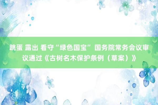 跳蛋 露出 看守“绿色国宝” 国务院常务会议审议通过《古树名木保护条例（草案）》