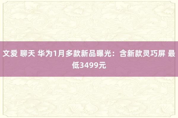 文爱 聊天 华为1月多款新品曝光：含新款灵巧屏 最低3499元