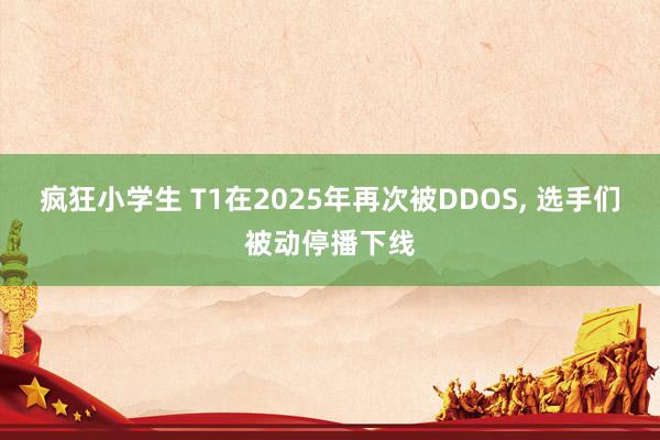 疯狂小学生 T1在2025年再次被DDOS， 选手们被动停播下线