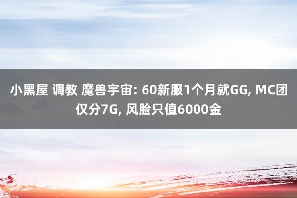 小黑屋 调教 魔兽宇宙: 60新服1个月就GG， MC团仅分7G， 风脸只值6000金