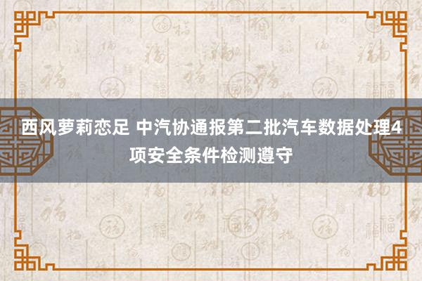 西风萝莉恋足 中汽协通报第二批汽车数据处理4项安全条件检测遵守