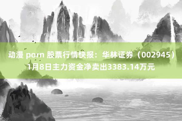 动漫 porn 股票行情快报：华林证券（002945）1月8日主力资金净卖出3383.14万元