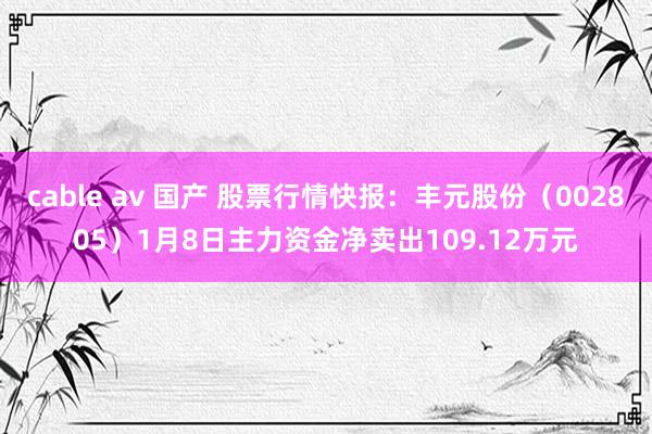 cable av 国产 股票行情快报：丰元股份（002805）1月8日主力资金净卖出109.12万元