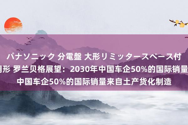 パナソニック 分電盤 大形リミッタースペース付 露出・半埋込両用形 罗兰贝格展望：2030年中国车企50%的国际销量来自土产货化制造