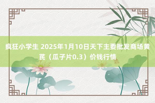 疯狂小学生 2025年1月10日天下主要批发商场黄芪（瓜子片0.3）价钱行情