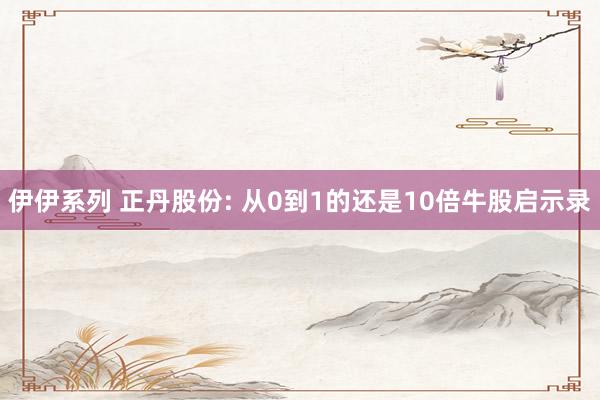 伊伊系列 正丹股份: 从0到1的还是10倍牛股启示录