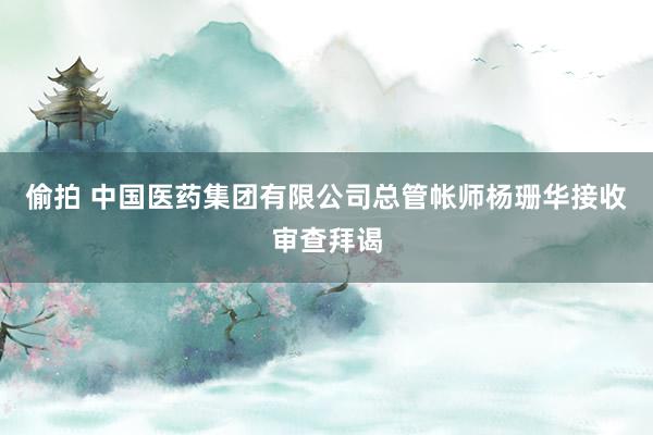 偷拍 中国医药集团有限公司总管帐师杨珊华接收审查拜谒