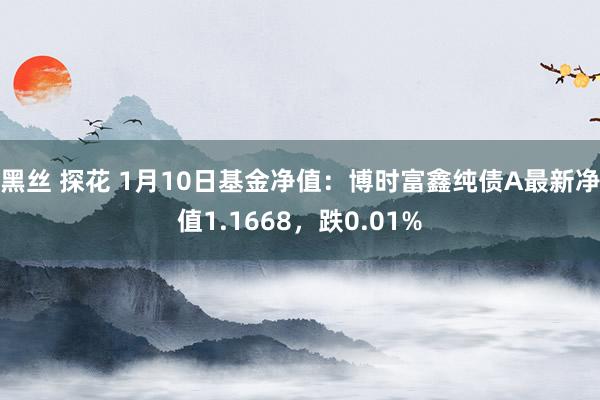 黑丝 探花 1月10日基金净值：博时富鑫纯债A最新净值1.1668，跌0.01%