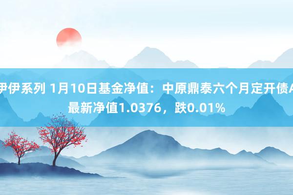 伊伊系列 1月10日基金净值：中原鼎泰六个月定开债A最新净值1.0376，跌0.01%