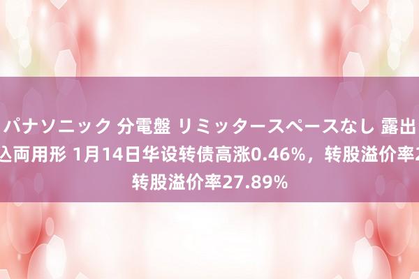 パナソニック 分電盤 リミッタースペースなし 露出・半埋込両用形 1月14日华设转债高涨0.46%，转股溢价率27.89%