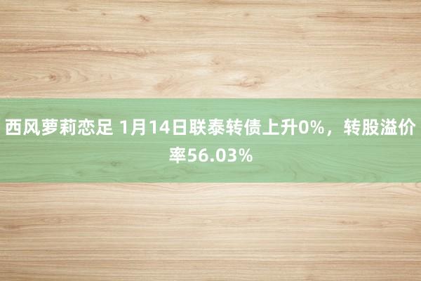 西风萝莉恋足 1月14日联泰转债上升0%，转股溢价率56.03%