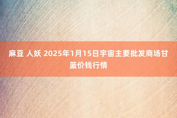 麻豆 人妖 2025年1月15日宇宙主要批发商场甘蓝价钱行情