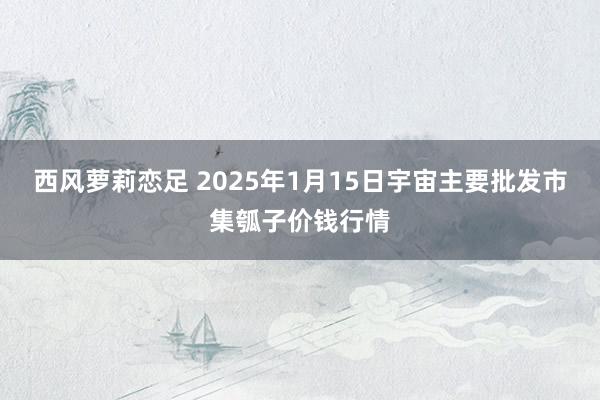 西风萝莉恋足 2025年1月15日宇宙主要批发市集瓠子价钱行情