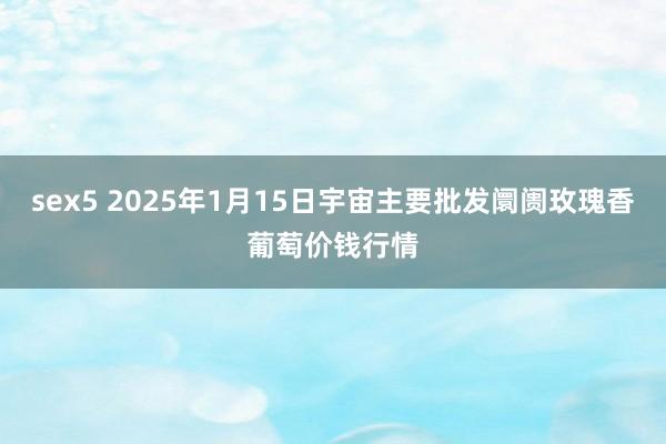 sex5 2025年1月15日宇宙主要批发阛阓玫瑰香葡萄价钱行情