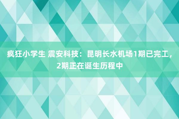 疯狂小学生 震安科技：昆明长水机场1期已完工，2期正在诞生历程中